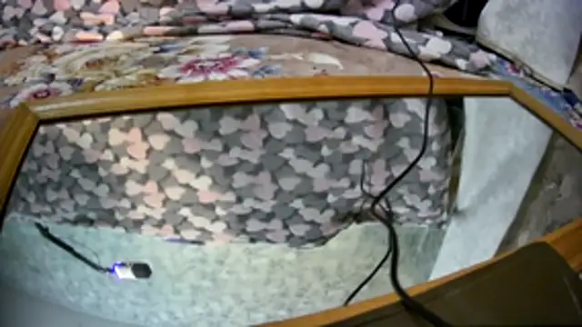 Snapshot of Kai_and_you chatting on November 21, 12:21 am Kai and you online show from November 21, 12:21 am