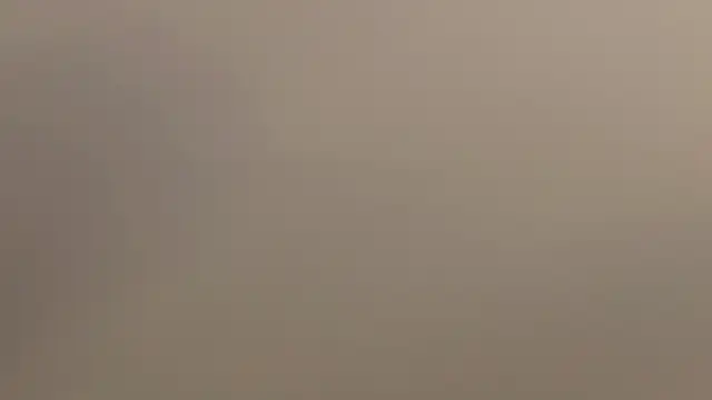 Ammy Castro online show from May 21, 10:17 pm