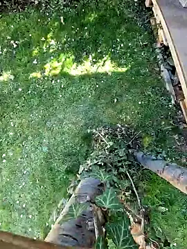 Snapshot of Lorent6969 chatting on March 7, 1:18 pm Lorent6969 online show from March 7, 1:18 pm