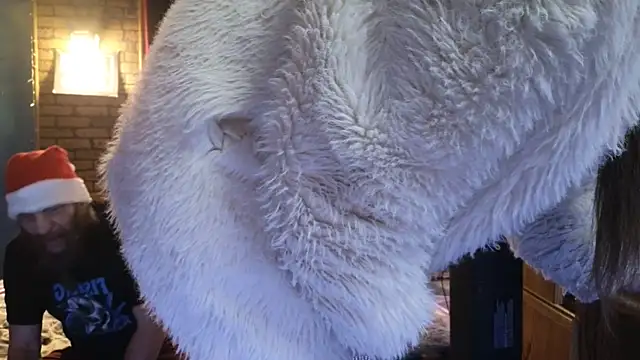 PropertyAndBiker online show from December 6, 11:03 pm