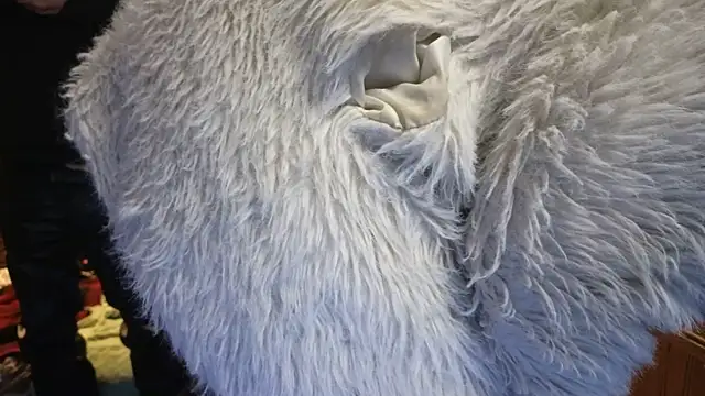 PropertyAndBiker online show from February 14, 2:07 am