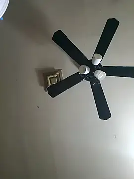 Snapshot of Hugebwc102 chatting on November 23, 8:03 am Hugebwc102 online show from November 23, 8:03 am