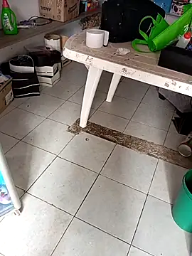 VivienAndClark online show from December 2, 3:18 pm