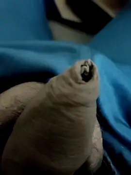 Ashish02345 online show from January 28, 8:58 pm