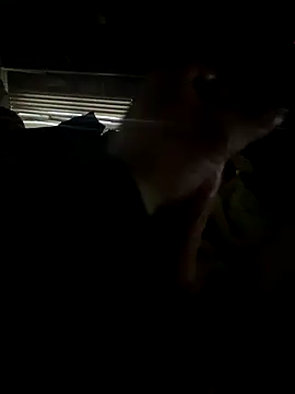 Snapshot of dickemdowncharleybrown chatting on December 17, 3:51 pm dickemdowncharleybrown online show from December 17, 3:51 pm