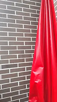 Deisy Torres online show from January 8, 8:33 pm