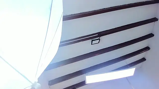 Snapshot of Oriana_Guzman chatting on February 22, 6:41 pm Oriana Guzman online show from February 22, 6:41 pm