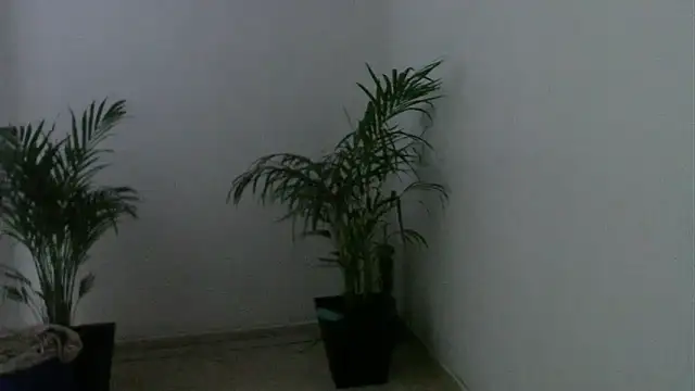 skylarhot420 online show from March 5, 12:00 pm