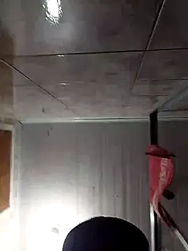 Adee21e online show from November 17, 8:47 pm