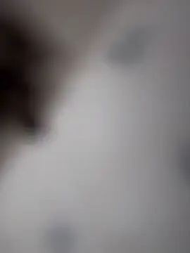 Snapshot of Kylie2211 chatting on November 28, 1:47 pm Kylie2211 online show from November 28, 1:47 pm