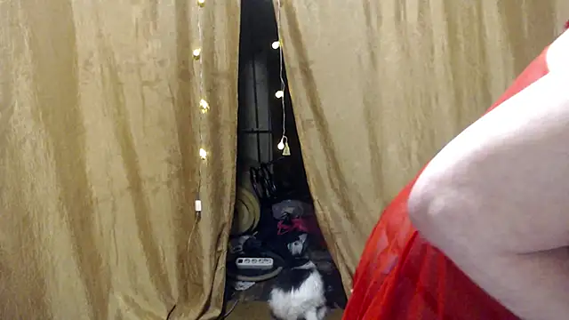  Estelitta 5 online show from January 17, 12:42 pm