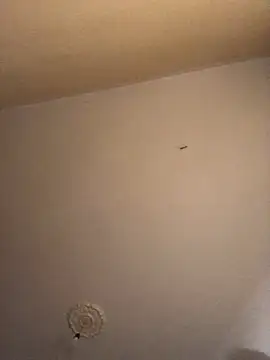 ClatteryPrexy online show from December 16, 4:27 pm