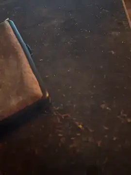 FreshWonder0 online show from November 17, 5:19 pm