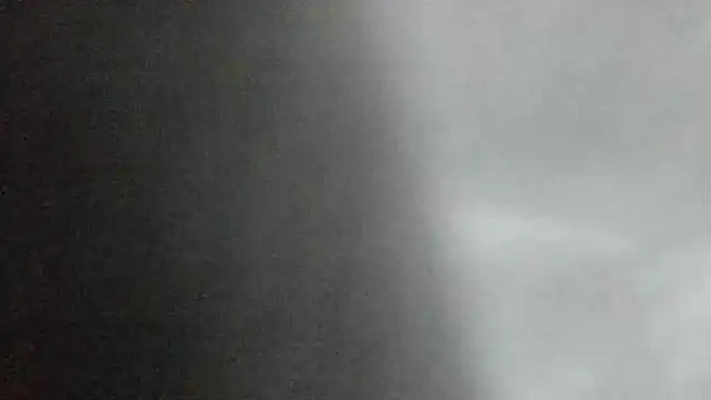 canela wet online show from February 2, 1:19 pm