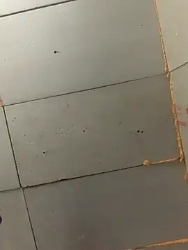 Boysex227 online show from November 30, 7:34 am