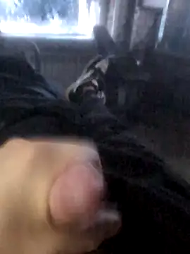 Boysex227 online show from March 19, 4:27 am