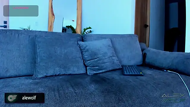 Snapshot of alex_wolf_ chatting on November 28, 2:42 pm alex wolf online show from November 28, 2:42 pm