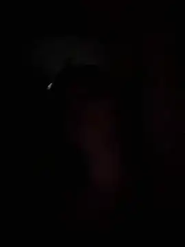 adel secret online show from March 8, 10:13 pm