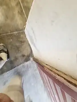 Snapshot of robertilevis chatting on February 27, 8:58 am robertilevis online show from February 27, 8:58 am