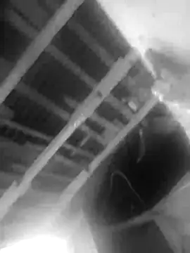 Snapshot of Jerryhottt chatting on November 20, 3:18 am Jerryhottt online show from November 20, 3:18 am