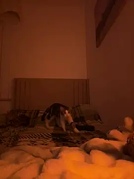 Sashabunny online show from February 12, 8:15 pm