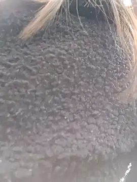 Violeta 12- online show from March 18, 7:31 pm