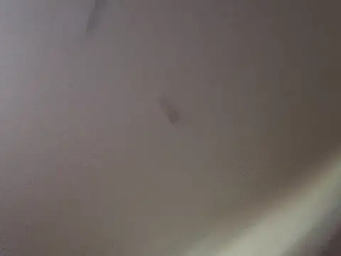 Gin4Cole online show from September 25, 11:52 pm