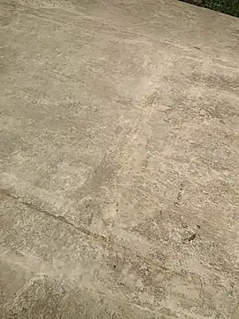 Mafiya1604 online show from September 19, 7:32 am