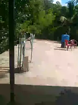 Mafiya1604 online show from September 25, 9:46 am