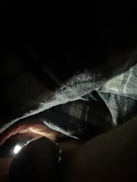 Shyboy817 online show from March 11, 4:18 am