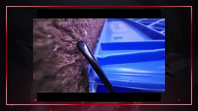 Snapshot of AriellaTaylor chatting on December 11, 4:42 pm AriellaTaylor online show from December 11, 4:42 pm