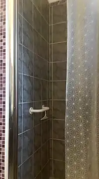 pachapeter online show from February 22, 3:25 pm