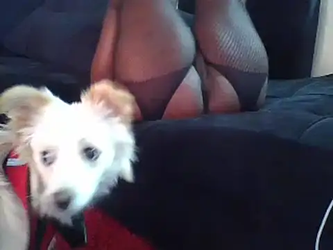 Snapshot of KikiLovesD chatting on December 23, 2:07 pm KikiLovesD online show from December 23, 2:07 pm