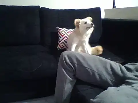 Snapshot of KikiLovesD chatting on December 31, 8:34 pm KikiLovesD online show from December 31, 8:34 pm