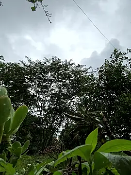 ViolettaSummer online show from January 12, 1:05 pm