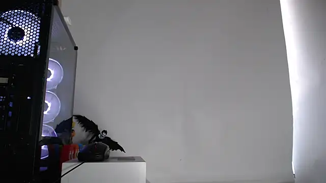 harold 18  online show from October 2, 6:15 pm