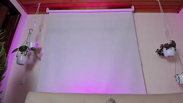 roselinedior online show from January 27, 4:11 pm