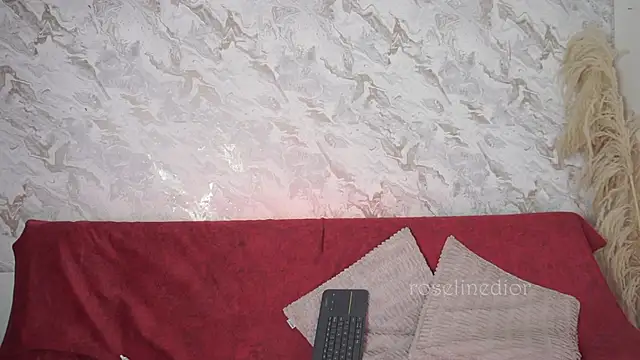 roselinedior online show from November 23, 2:28 pm