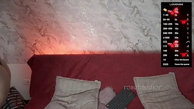 roselinedior online show from November 26, 1:34 pm