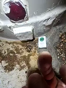 cdressupdiva online show from January 20, 3:50 pm