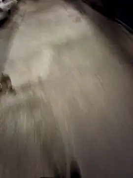 BandidodeAmores 84 online show from October 19, 3:07 am