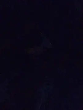 MrDickUdown24 7 online show from February 23, 6:39 am