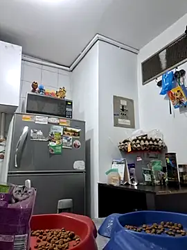 Snapshot of Hot_sophie_ chatting on February 24, 2:51 am Hot sophie  online show from February 24, 2:51 am