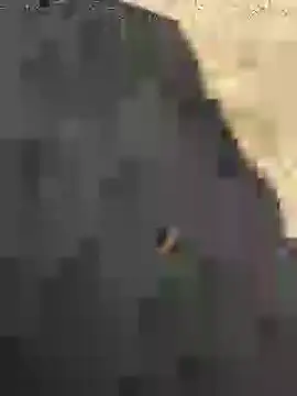 Snapshot of Beijing2000 chatting on January 27, 5:14 am Beijing2000 online show from January 27, 5:14 am