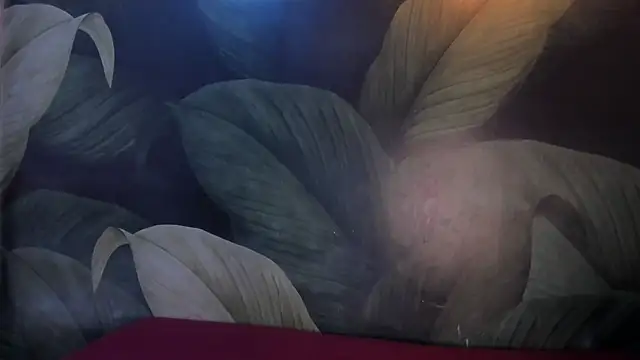 Snapshot of sweett_dirty chatting on February 8, 12:28 pm sweett dirty online show from February 8, 12:28 pm