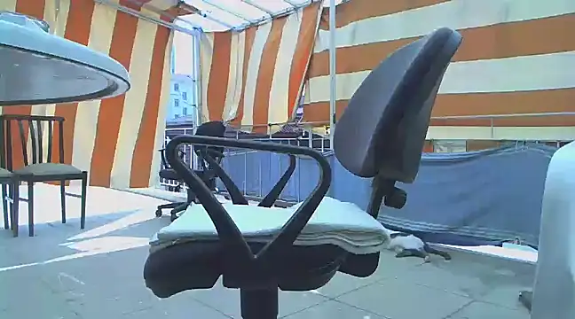 zormen355 online show from March 16, 9:27 am