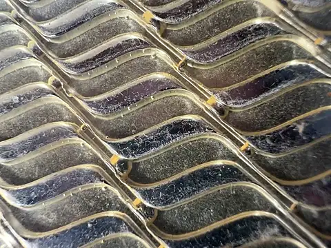 Amarok39 online show from January 6, 5:06 pm