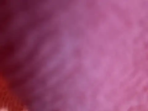 Amarok39 online show from October 18, 7:47 pm