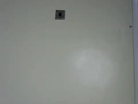 Rasta tattooed online show from November 13, 12:15 pm