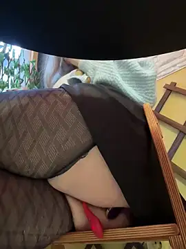 Snapshot of PumaShyXD chatting on December 15, 10:28 am PumaShyXD online show from December 15, 10:28 am